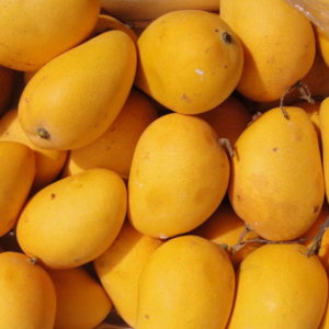 Exporter of Fresh Mango from pakistan