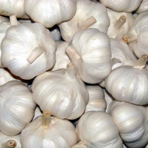 garlic