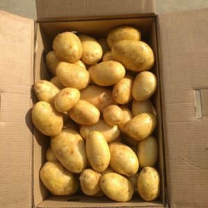 IMG-20170111-WA0010