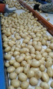 IMG-20171026-WA0016